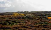 Tour Zu Fuß Texel - De Bollekamer - Photo 8