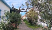 Trail Walking Argelès-sur-Mer - racou - collioure - racou / en boucle - Photo 4