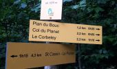 Trail Walking Saint-Cassin - La dent du Corbelet  - Photo 4