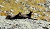 Trail Walking Belvédère - Mur des Italiens - Photo 1