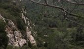 Trail Walking Bize-Minervois - Montredon / Combebelle-le-haut - Photo 1