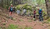 Trail Walking Sondernach - Rando LANDERSEN 29/06/2023 - Photo 1