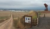 Excursión Senderismo Azofra - Santo Domingo de la Calzada - Photo 4