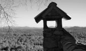 Tour Wandern Cotignac - Cotignac - Gros Bessillon - Monastère St Joseph - ND de Grâce - Photo 2