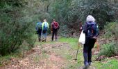 Trail Walking Les Mayons - FFRandonnée-Sur_les_traces_du_decauville - Photo 9