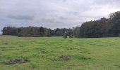 Trail Walking Modave - modave - clavier station, retour par la ligne 126 - Photo 20
