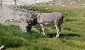 Trail Walking Allos - ALLOS . LACS DE L ENCOMBRETTE . O - Photo 8