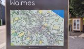 Tocht Stappen Waimes - GR 56 BUTCHENBACH - WEYWERTZ - FAYMONVILLE - WAIMES - VAL D'ARIMONT - MALMEDY  - Photo 9