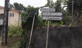 Excursión Senderismo La Trinité - Cosmy - Bois Jadé - Merveilleux en boucle  - Photo 5