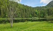 Trail On foot Oberaudorf - Wanderweg 8 - Oberaudorf - Photo 10