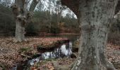 Trail Walking Saint-Clément-de-Rivière - St Clément Grand Devois Le Lez - Photo 5