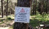 Trail Walking Saint-Martin-de-l'Arçon - le Caroux - Photo 14