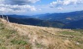 Trail Walking La Bresse - pied du Hohneck - le Kastelbeck - Photo 5