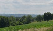 Tour Wandern Aubel - 20220620 - Aubel 7.2 Km - Photo 16