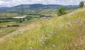 Percorso Marcia Saint-Lager - MT Brouilly .St Lager - Photo 1