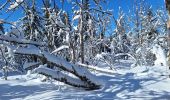 Excursión Raquetas de nieve Hauteluce - Le Signal - Chard du Beurre - Plan Chardon - Photo 1