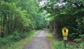 Tocht Te voet Vöhl - Nationalparkrundweg Ringelsberg-Route - Photo 7