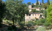 Percorso Marcia La Roque-sur-Cèze - Cascades du Sautadet, maquis et village de Roque-sur-Cèze  - Photo 5