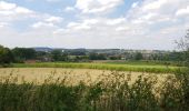 Tour Elektrofahrrad Ronse - Renaix - Ellezelles - Croisette - Saint-sauveur - Photo 3