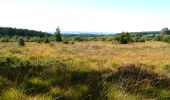 Excursión Senderismo Malmedy - Les fagnes en été - Photo 10