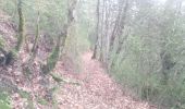 Trail Walking Die - Abbaye Val croissant - Chatillon en diois - Photo 2