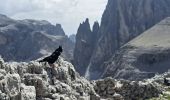 Randonnée Marche Sexten - Sesto - DOLOMITES 06BIS - Rifugio LAVAREDO 2344m - Photo 16