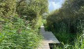 Tocht Stappen Diksmuide - Blanquaart 19 km - Photo 1