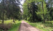 Trail Walking Spa - les eaux au sud de Spa  - Photo 17