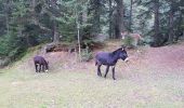 Percorso Marcia Le Pla - Roc blanc .étang du Laurenti (Ariège ) - Photo 2