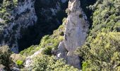 Randonnée Marche Duilhac-sous-Peyrepertuse - 20211008 Duilhac-Peyrepertuse-Galamus - Photo 5