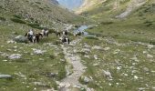 Excursión Paseo ecuestre Gavarnie-Gèdre - Gavarnie étape 4 - Photo 10