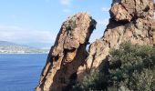 Excursión Senderismo Théoule-sur-Mer - Theoule. notre dame d Afrique. le pique de l l'aiguille,  col de Theoule - Photo 2