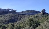 Tocht Stappen La Ciotat - la Ciotat grotte Fardeloup - Photo 2