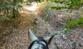 Trail Horseback riding Habay - Marbehan 9 octobre 2022e - Photo 4