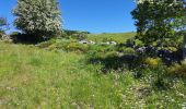 Trail Walking Saint-Laurent-de-Muret - la Blatte Aubrac  - Photo 3