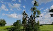 Tour Zu Fuß Gerswalde - Stiernseerundweg - Photo 2