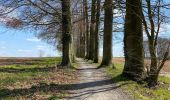 Tour Wandern Beauvechain - HAMME mille 20,8 km - Photo 2