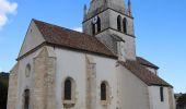 Percorso A piedi Meursault - Sentier Meursault-Blagny - Photo 9