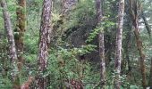 Excursión Senderismo Cros - Le pont du diable, en p1rtant du gîte aux milles fleurs - Photo 13