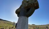 Percorso Marcia Saint Geniez d'Olt et d'Aubrac - Les Vergnes Mailhebiau Tourbière  - Photo 6