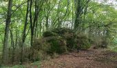 Tocht Noords wandelen Lauroux - Labeil Forêt de L'Escandorgue Roquet Escu - Photo 16