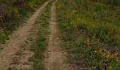 Trail Horseback riding Viroinval - Oignies / le Mesnil par Nobertins 100621 - Photo 3