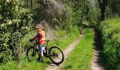 Trail Mountain bike Mutzig - parcours test VTTAE Mutzig  - Photo 15