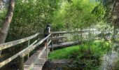 Tour Wandern Paliseul - jelly avec marraine tonton  - Photo 4