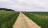 Randonnée Marche Clavier - La promenade du Vicus Gallo-Romain - Photo 4