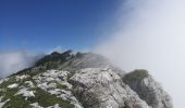 Excursión Senderismo Lans-en-Vercors - Lans en Vercors - Les Ramées - Trou St Michel - Photo 1