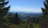 Randonnée Marche Metzeral - rando vosges grand ballon - Photo 2