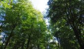 Trail Walking Houppeville - 20200905-Houppeville  - Photo 4