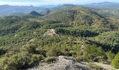 Trail Walking Pourrières - Pourcieux :Mont Olympe et Pas du Titet - Photo 11