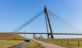 Excursión A pie Kampen - WNW IJsseldelta -Ketelmeer - blauwe route - Photo 10